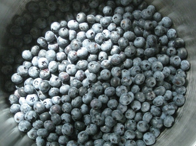 Fresh picked blueberries ~ Erins' DC Kitchen